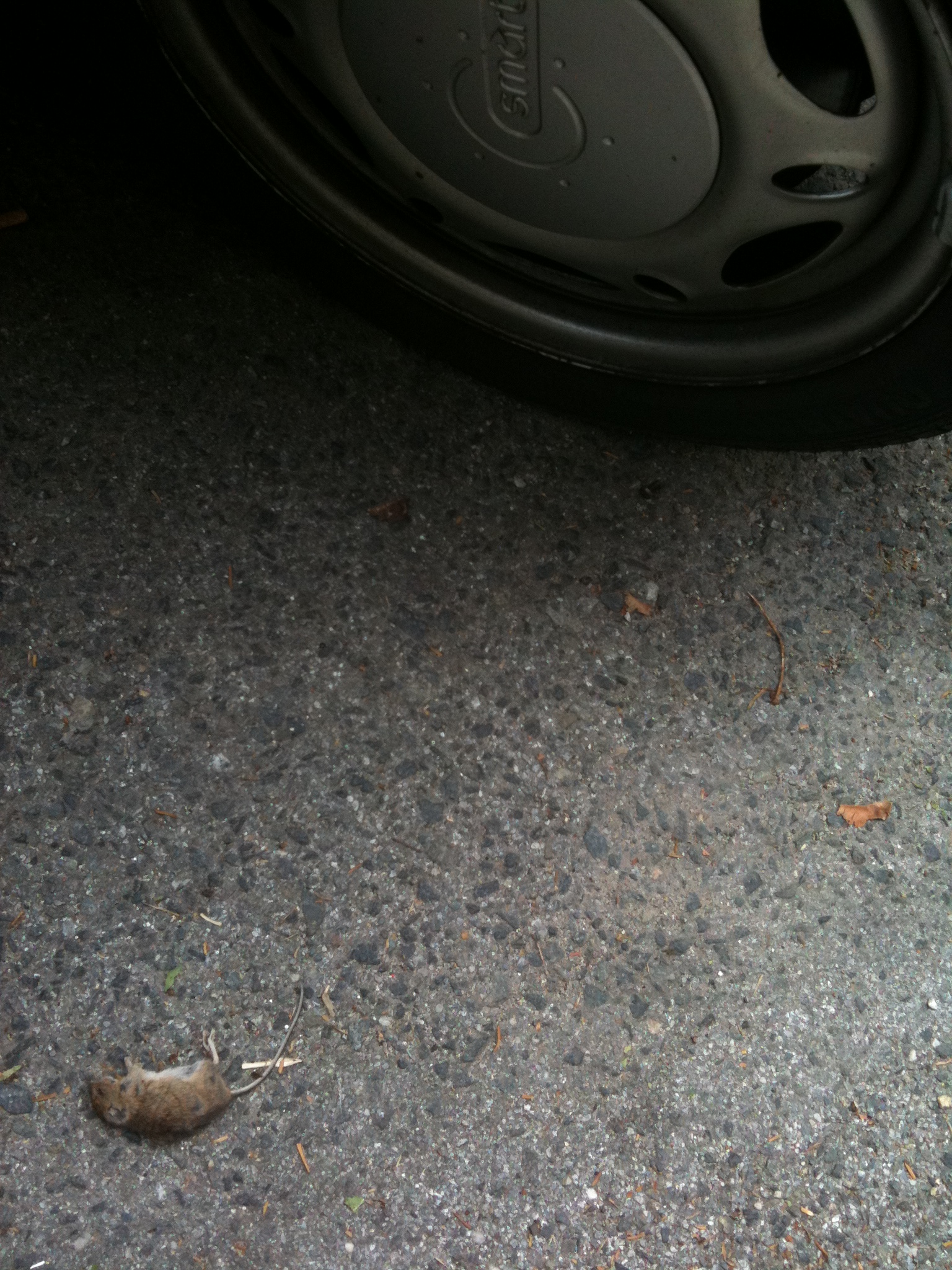 IMG_0402 IMG_0402